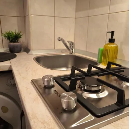 Old Town - Victoriei 3 Apartment *